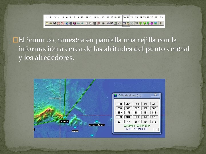 �El icono 20, muestra en pantalla una rejilla con la información a cerca de