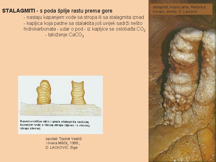 STALAGMITI - s poda špilje rastu prema gore - nastaju kapanjem vode sa stropa STALAGMITI - s poda špilje rastu prema gore - nastaju kapanjem vode sa stropa