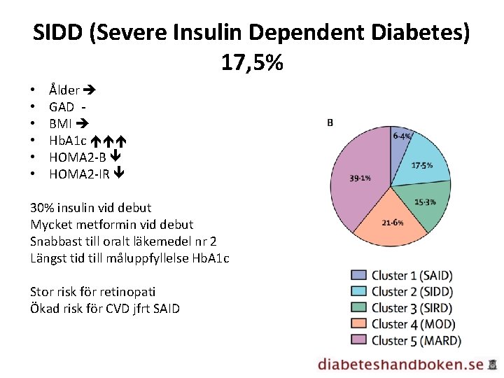 SIDD (Severe Insulin Dependent Diabetes) 17, 5% • • • Ålder GAD BMI Hb.