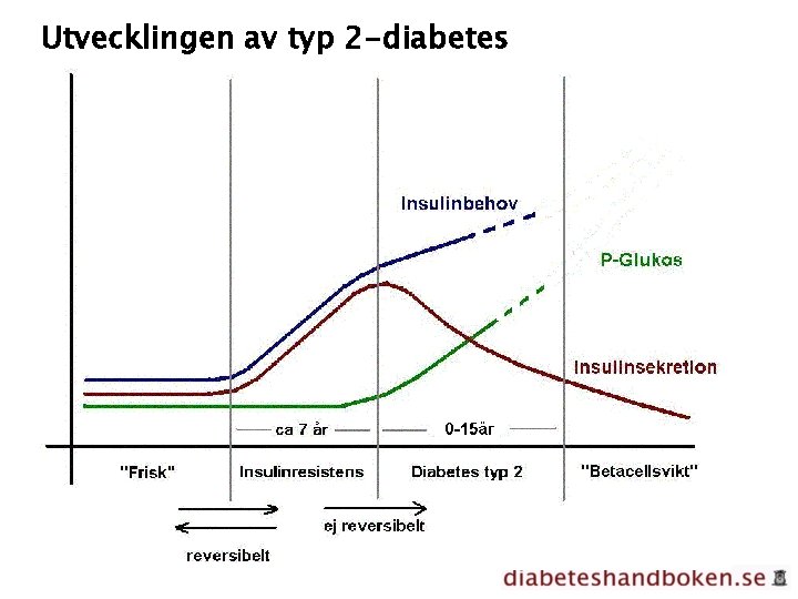 Utvecklingen av typ 2 -diabetes 