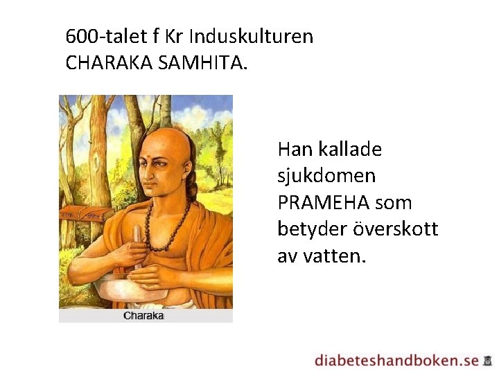 600 -talet f Kr Induskulturen CHARAKA SAMHITA. Han kallade sjukdomen PRAMEHA som betyder överskott