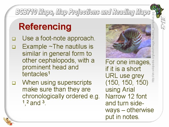 q q q Use a foot-note approach. Example ~The nautilus is similar in general