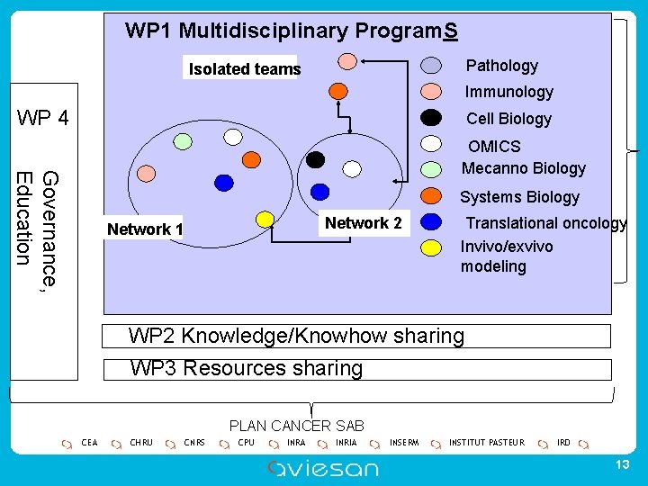 WP 1 Multidisciplinary Program. S Pathology Isolated teams Immunology WP 4 Cell Biology Governance,