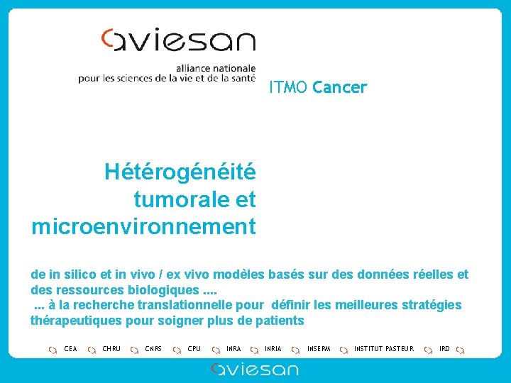 ITMO Cancer Hétérogénéité tumorale et microenvironnement de in silico et in vivo / ex