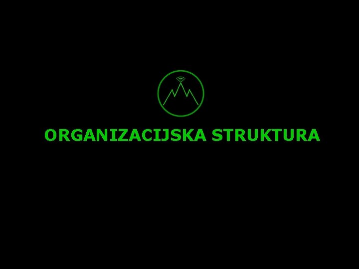 ORGANIZACIJSKA STRUKTURA ORGANIZACIJSKA STRUKTURA