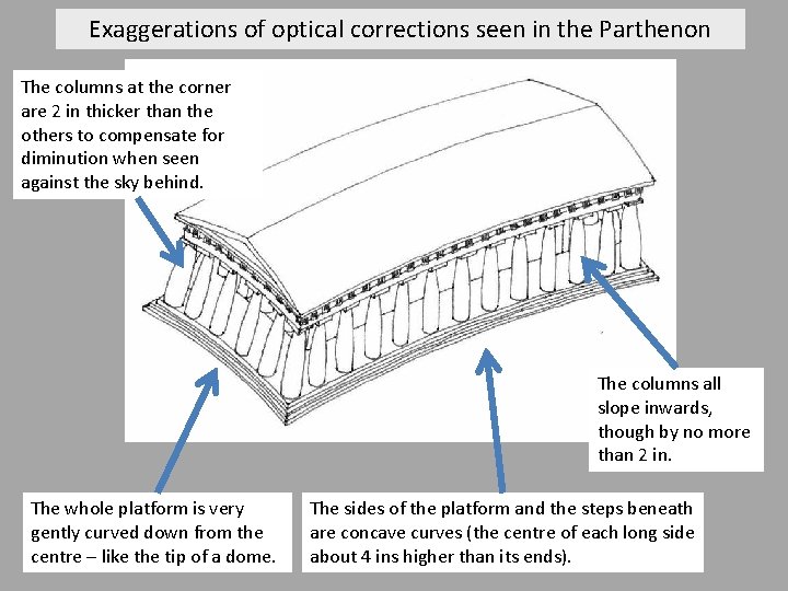 Exaggerations of optical corrections seen in the Parthenon The columns at the corner are