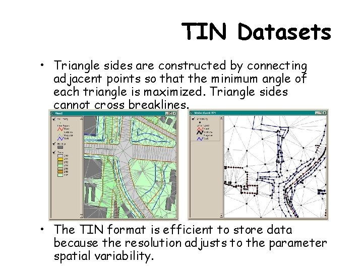 TIN Datasets • Triangle sides are constructed by connecting adjacent points so that the