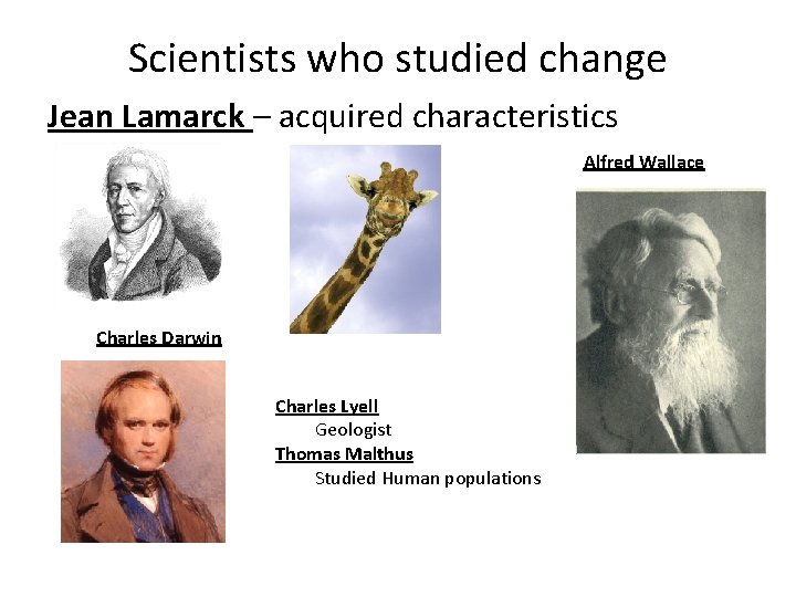 Scientists who studied change Jean Lamarck – acquired characteristics Alfred Wallace Charles Darwin Charles