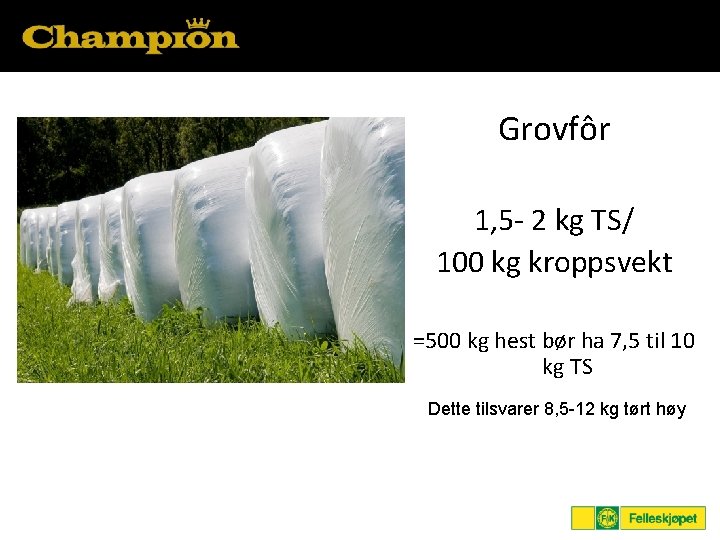 Grovfôr 1, 5 - 2 kg TS/ 100 kg kroppsvekt =500 kg hest bør