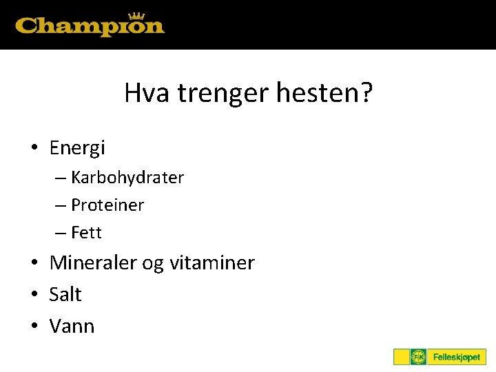 Hva trenger hesten? • Energi – Karbohydrater – Proteiner – Fett • Mineraler og
