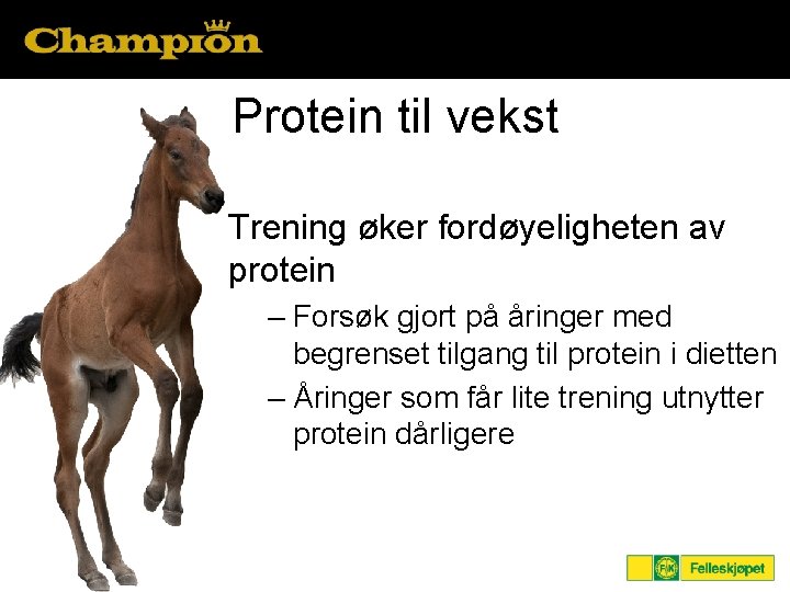 Protein til vekst Trening øker fordøyeligheten av protein – Forsøk gjort på åringer med