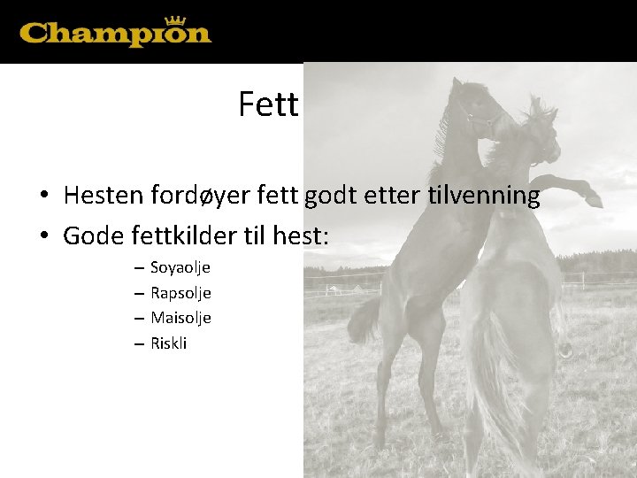 Fett • Hesten fordøyer fett godt etter tilvenning • Gode fettkilder til hest: –