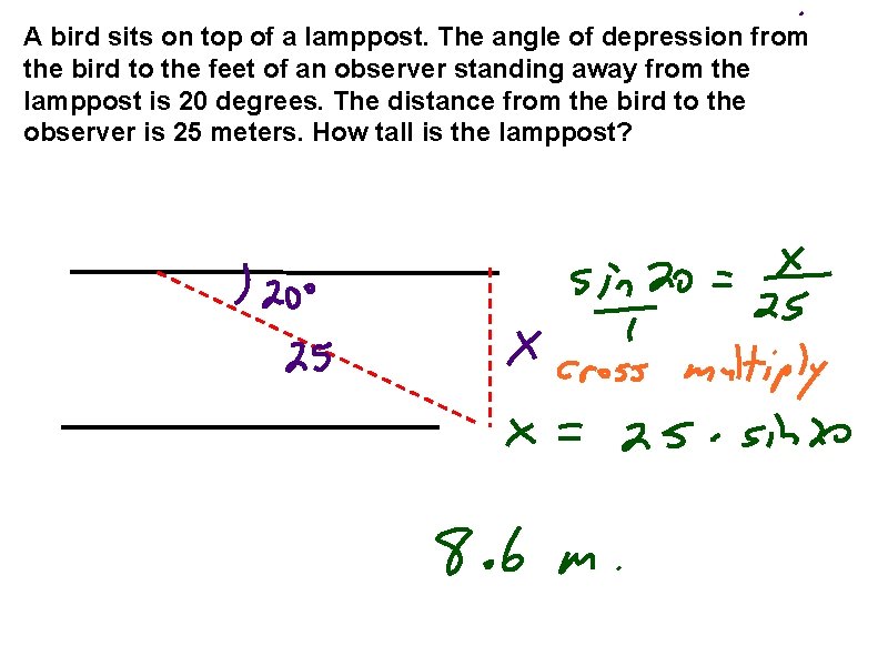 A bird sits on top of a lamppost. The angle of depression from the