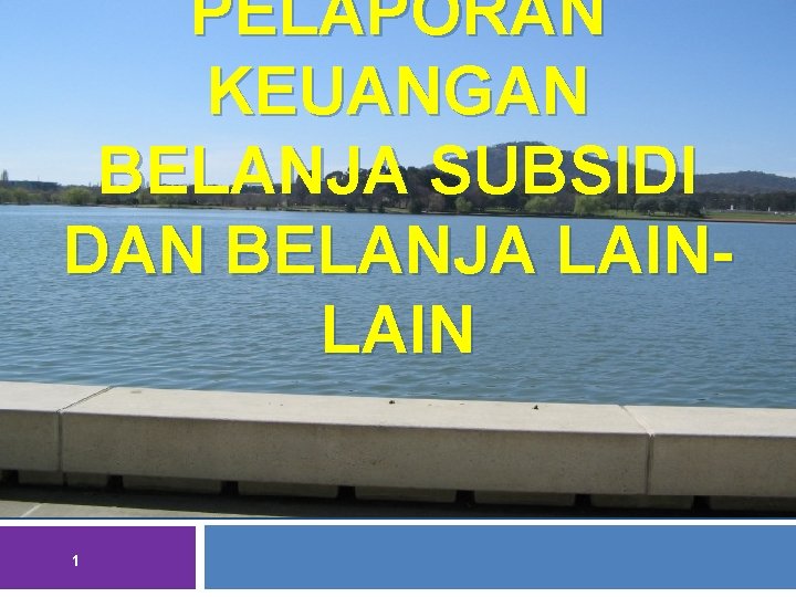PELAPORAN KEUANGAN BELANJA SUBSIDI DAN BELANJA LAIN 1 