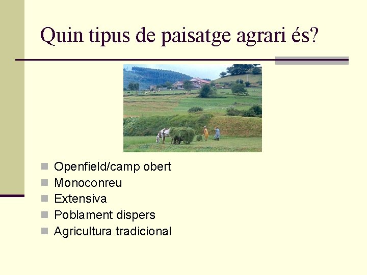 Quin tipus de paisatge agrari és? n n n Openfield/camp obert Monoconreu Extensiva Poblament Quin tipus de paisatge agrari és? n n n Openfield/camp obert Monoconreu Extensiva Poblament