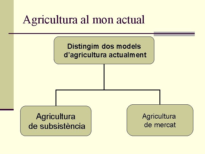 Agricultura al mon actual Distingim dos models d’agricultura actualment Agricultura de subsistència Agricultura de Agricultura al mon actual Distingim dos models d’agricultura actualment Agricultura de subsistència Agricultura de