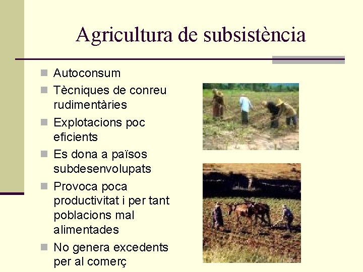 Agricultura de subsistència n Autoconsum n Tècniques de conreu n n rudimentàries Explotacions poc Agricultura de subsistència n Autoconsum n Tècniques de conreu n n rudimentàries Explotacions poc