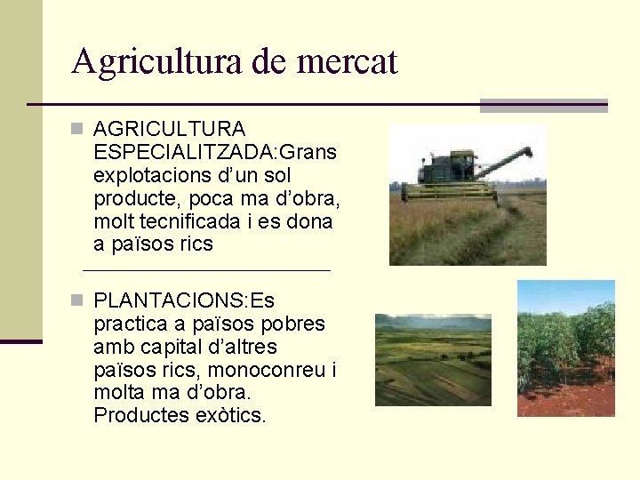 Agricultura de mercat n AGRICULTURA ESPECIALITZADA: Grans explotacions d’un sol producte, poca ma d’obra, Agricultura de mercat n AGRICULTURA ESPECIALITZADA: Grans explotacions d’un sol producte, poca ma d’obra,