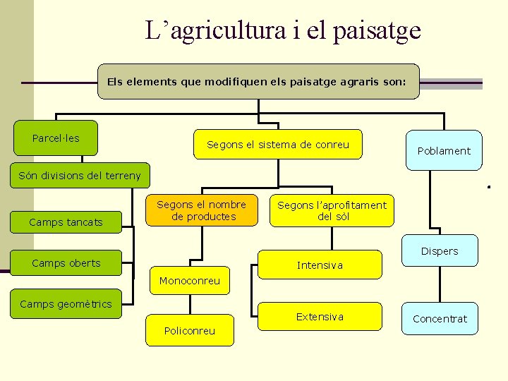 L’agricultura i el paisatge Els elements que modifiquen els paisatge agraris son: Parcel·les Segons L’agricultura i el paisatge Els elements que modifiquen els paisatge agraris son: Parcel·les Segons
