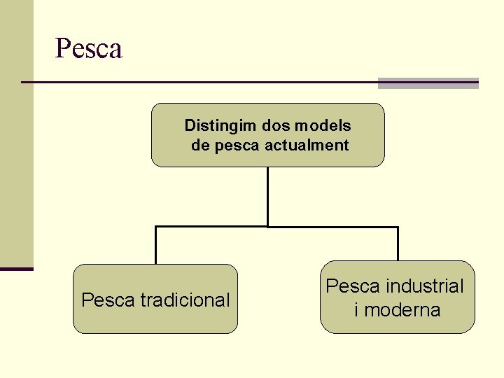 Pesca Distingim dos models de pesca actualment Pesca tradicional Pesca industrial i moderna Pesca Distingim dos models de pesca actualment Pesca tradicional Pesca industrial i moderna
