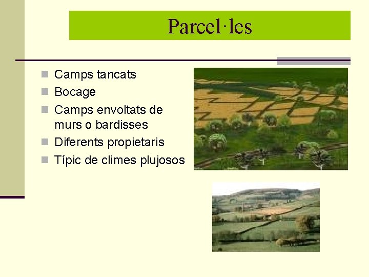 Parcel·les n Camps tancats n Bocage n Camps envoltats de murs o bardisses n Parcel·les n Camps tancats n Bocage n Camps envoltats de murs o bardisses n