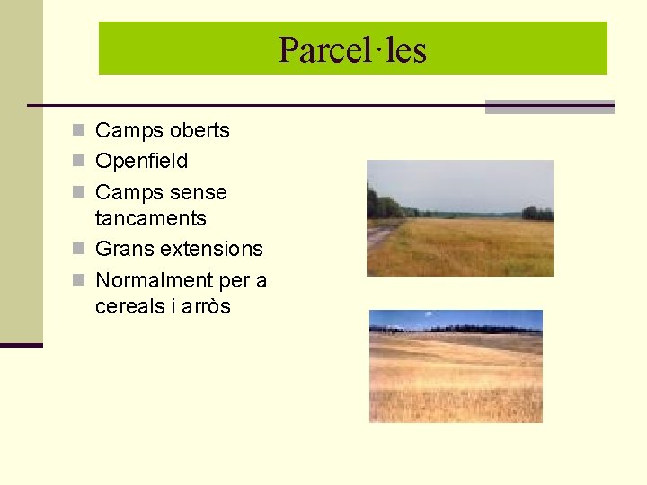 Parcel. les Parcel·les n Camps oberts n Openfield n Camps sense tancaments n Grans Parcel. les Parcel·les n Camps oberts n Openfield n Camps sense tancaments n Grans