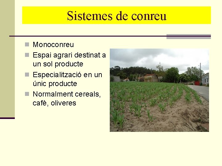 Sistemes de conreu n Monoconreu n Espai agrari destinat a un sol producte n Sistemes de conreu n Monoconreu n Espai agrari destinat a un sol producte n