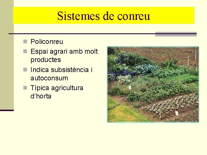 Sistemesde deconreu Sistemes n Policonreu n Espai agrari amb molt productes n Indica subsistència Sistemesde deconreu Sistemes n Policonreu n Espai agrari amb molt productes n Indica subsistència