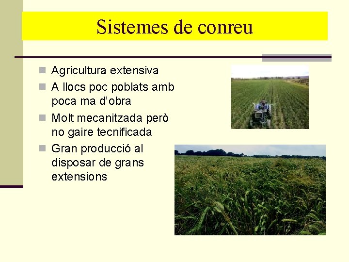 Sistemesde deconreu Sistemes n Agricultura extensiva n A llocs poc poblats amb poca ma Sistemesde deconreu Sistemes n Agricultura extensiva n A llocs poc poblats amb poca ma