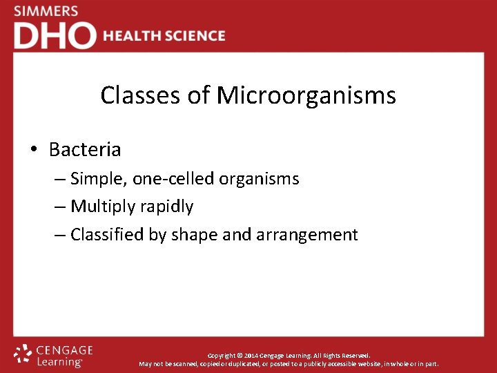 Classes of Microorganisms • Bacteria – Simple, one-celled organisms – Multiply rapidly – Classified