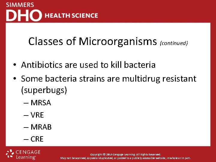 Classes of Microorganisms (continued) • Antibiotics are used to kill bacteria • Some bacteria