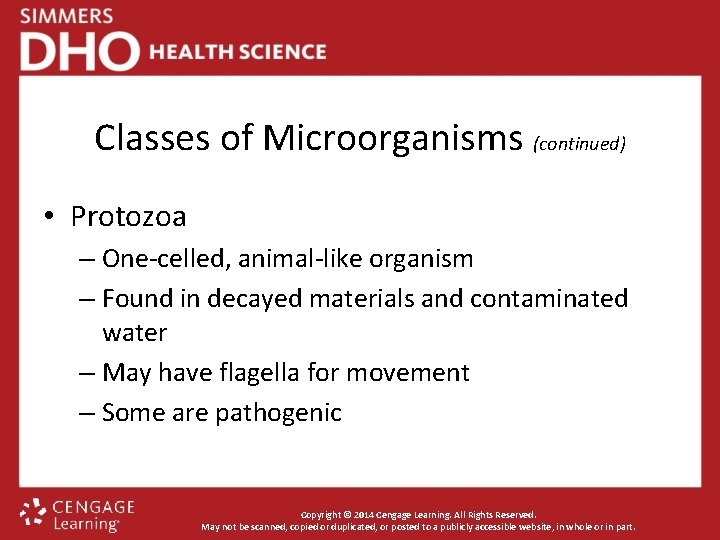 Classes of Microorganisms (continued) • Protozoa – One-celled, animal-like organism – Found in decayed