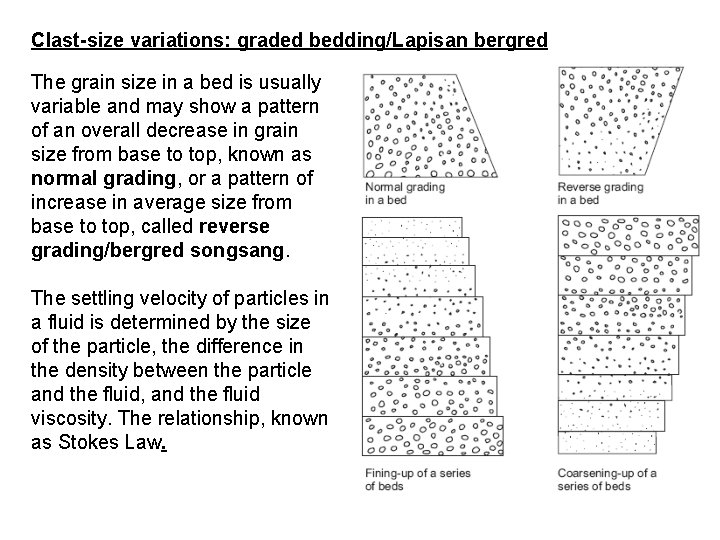 Clast-size variations: graded bedding/Lapisan bergred The grain size in a bed is usually variable