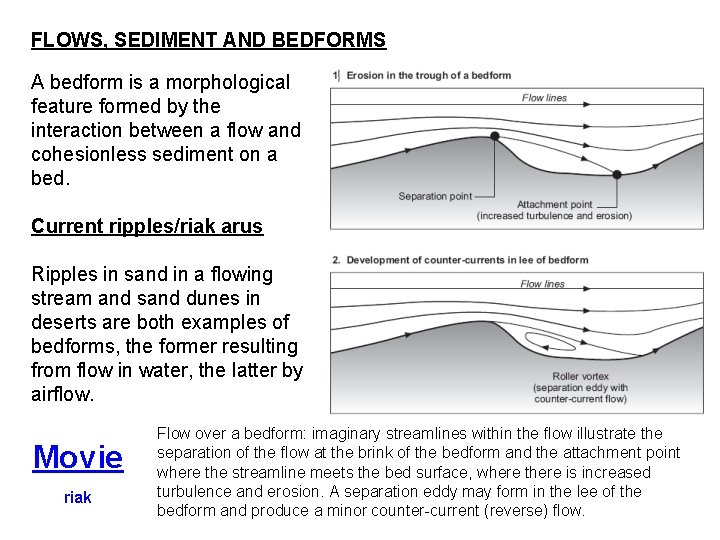 FLOWS, SEDIMENT AND BEDFORMS A bedform is a morphological feature formed by the interaction