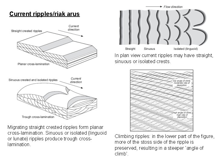Current ripples/riak arus In plan view current ripples may have straight, sinuous or isolated