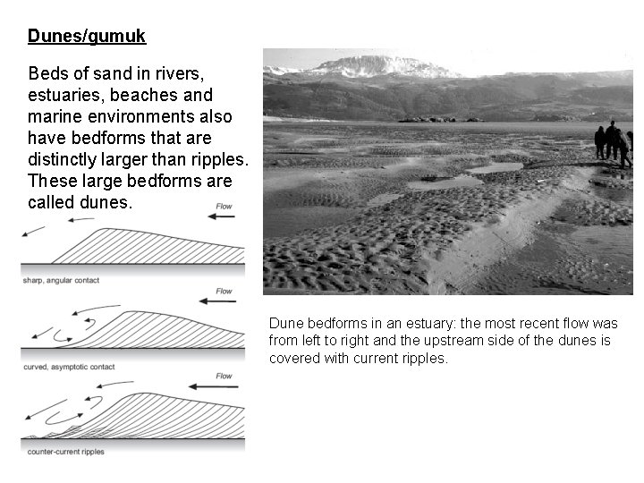 Dunes/gumuk Beds of sand in rivers, estuaries, beaches and marine environments also have bedforms