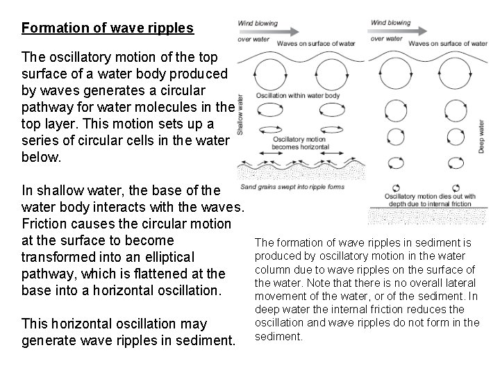 Formation of wave ripples The oscillatory motion of the top surface of a water