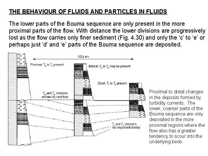 THE BEHAVIOUR OF FLUIDS AND PARTICLES IN FLUIDS The lower parts of the Bouma