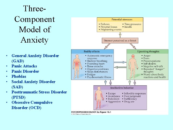 Three. Component Model of Anxiety • General Anxiety Disorder (GAD) • Panic Attacks •