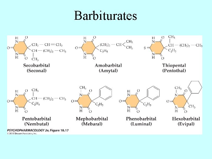 Barbiturates 