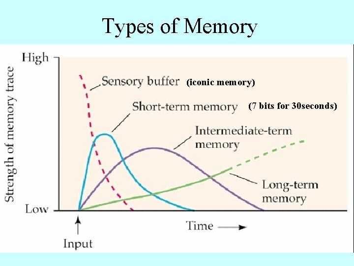 Types of Memory (iconic memory) (7 bits for 30 seconds) 