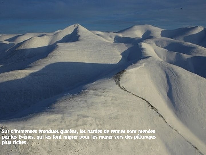 Sur d'immenses étendues glacées, les hardes de rennes sont menées par les Evènes, qui