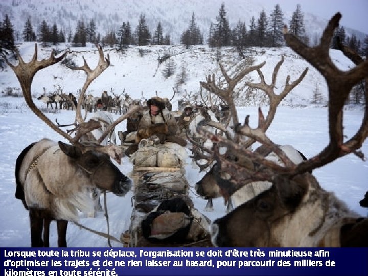 Lorsque toute la tribu se déplace, l'organisation se doit d'être très minutieuse afin d'optimiser