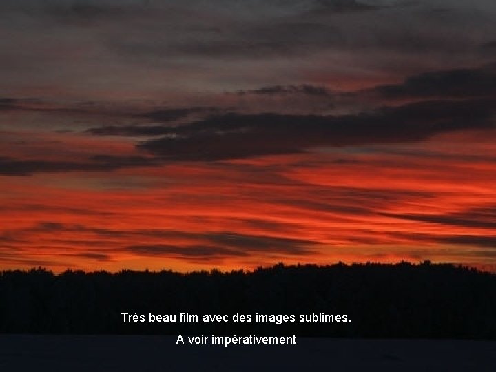 Très beau film avec des images sublimes. A voir impérativement 