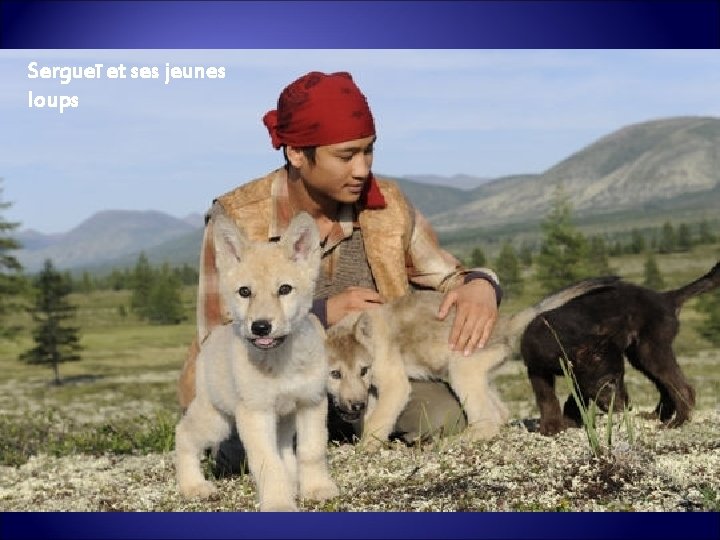 Sergueï et ses jeunes loups 