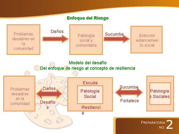 Enfoque del Riesgo Problemas desastres en la comunidad Daños Patologia social y comunitaria Sucumbe