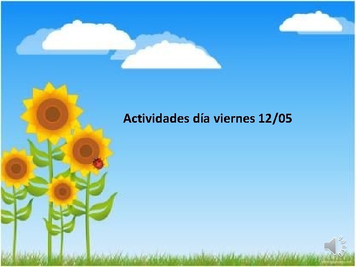 Actividades día viernes 12/05 