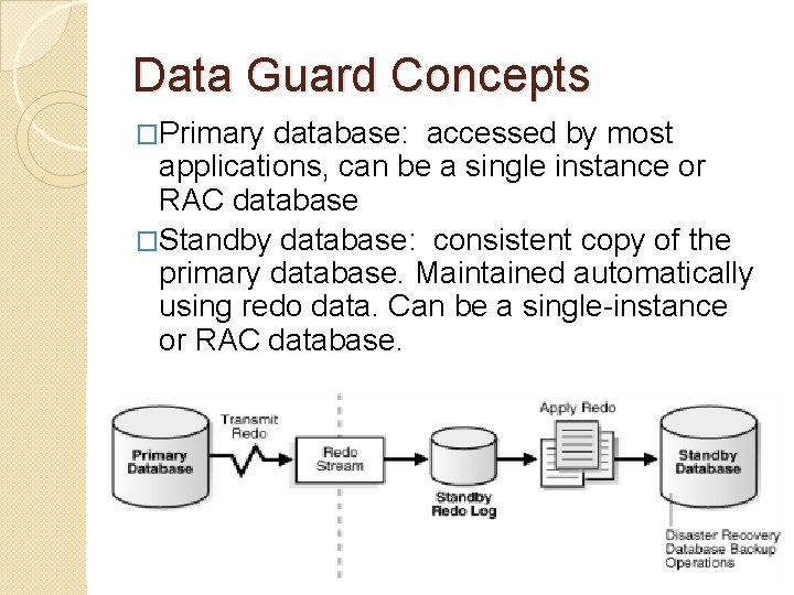 Data Guard Concepts �Primary database: accessed by most applications, can be a single instance