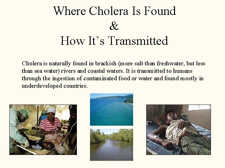 Where Cholera Is Found & How It’s Transmitted Cholera is naturally found in brackish