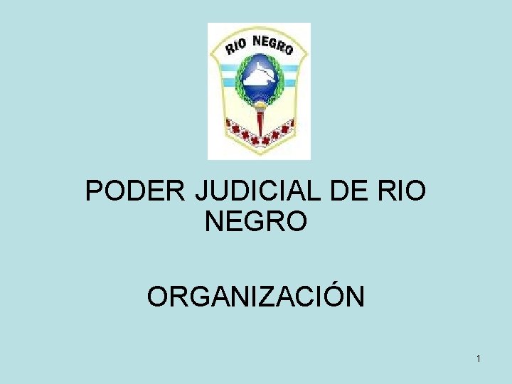 PODER JUDICIAL DE RIO NEGRO ORGANIZACIÓN 1 